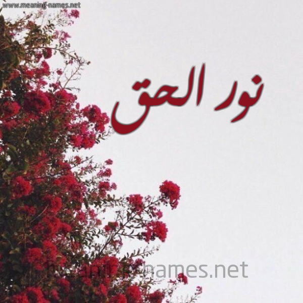 شكل 18 صوره الورد الأحمر للإسم بخط رقعة صورة اسم نور الحق Nwr-Al-Hq